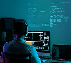 Enterprise software support
