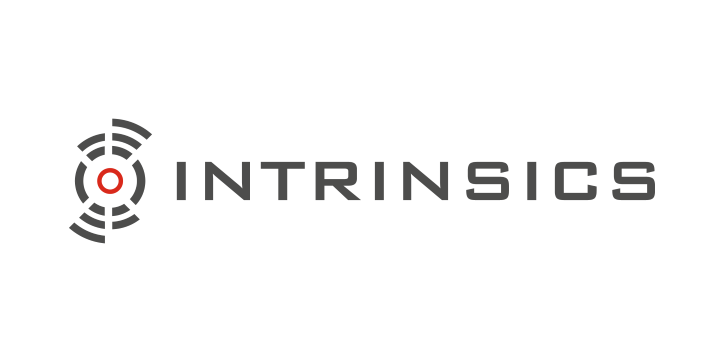 Intrinsics